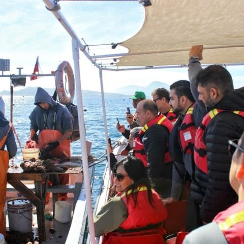 Tour Ostionero en Tongoy