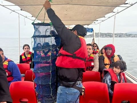 Tour Ostionero en Tongoy