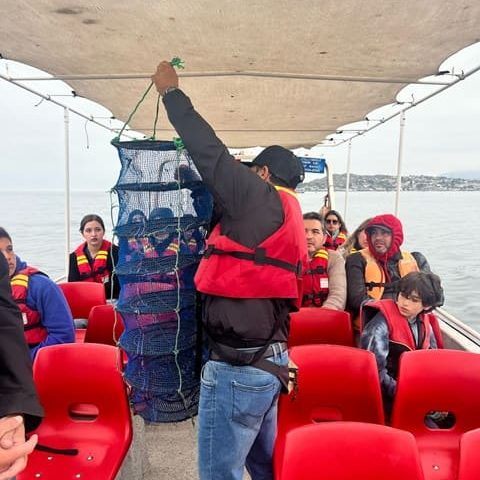 Tour Ostionero en Tongoy